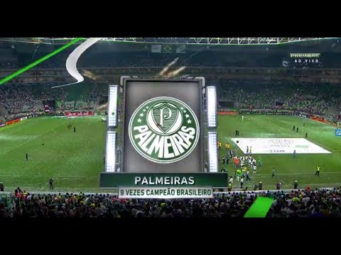 Final Campeonato Brasileiro 2016 - Palmeiras x Chapecoense