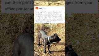 Easter Egg For Office Workers -Memes