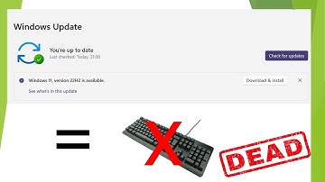 Keyboard not working after installing Windows 11 Update 22H2