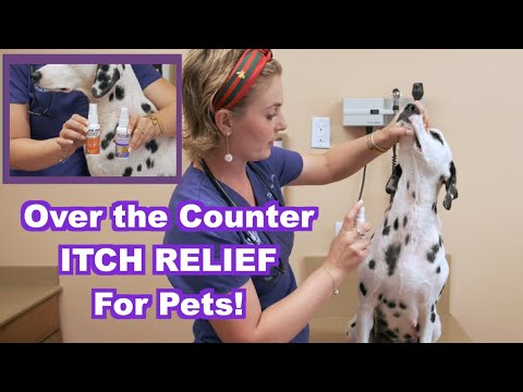 Over the Counter Itch Relief for Pets! ( Zymox with Hydrocortisone) | Veterinary Approved