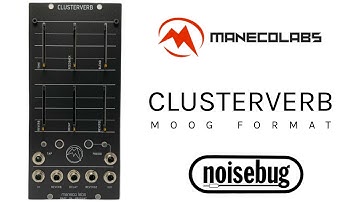 Maneco Labs - 5U Clusterverb