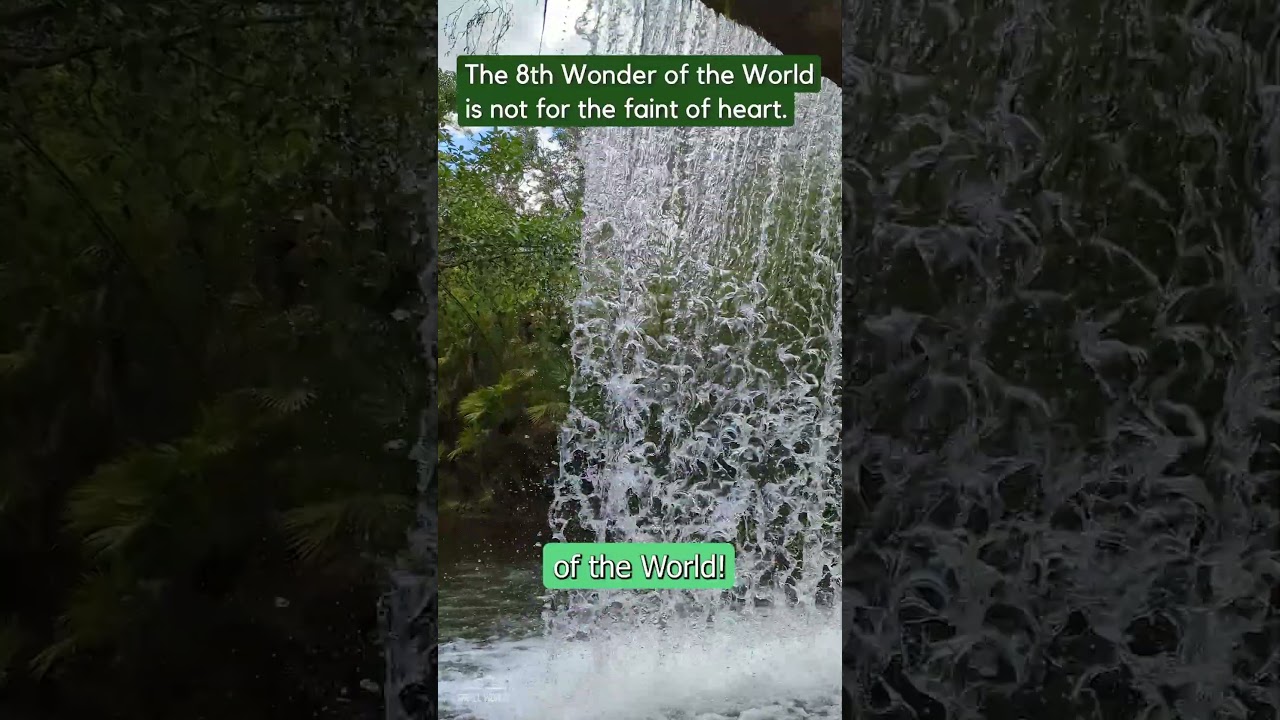 Magic Kingdom | Prepare for the 8th Wonder of the World!