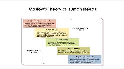 Historical Foundations of Management  - Chapter 2 -  Lecture 2