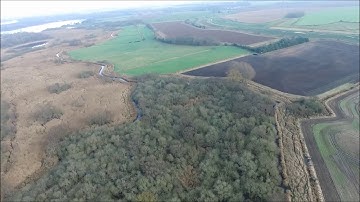 Drone footage from our work on Trinity Broad, Burgh Common | Thomson Environmental Consultants