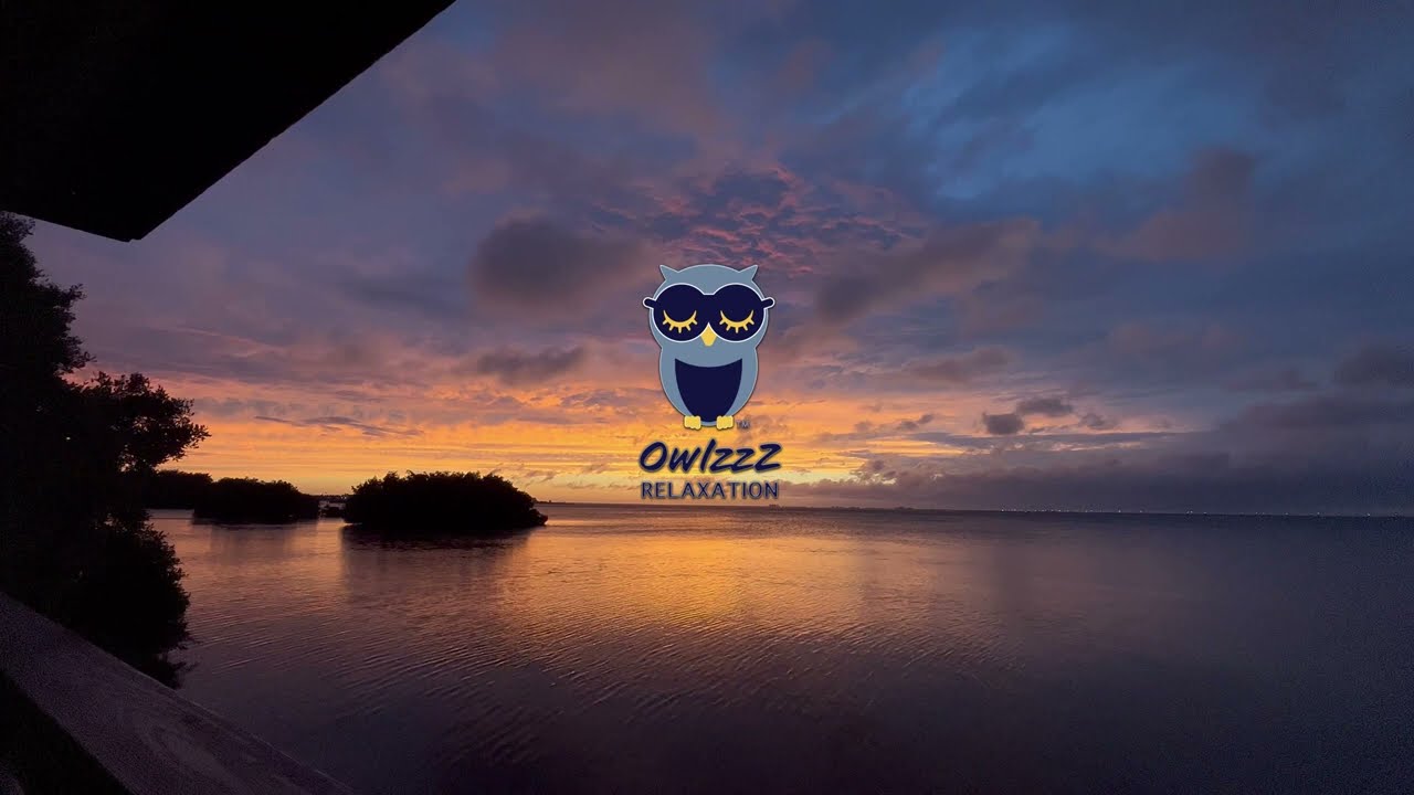 OwlzzZ Relaxation: Your Source for Scenic & Relaxing Nature Views