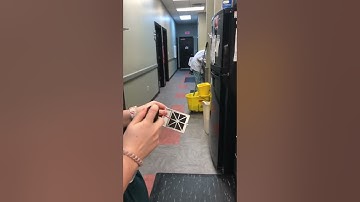 VTHT 2223 Lab Maintenance