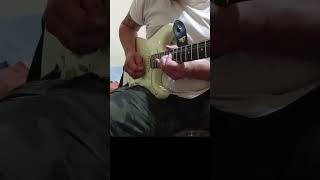 eko S 300 v-nos #eko #chitarre #sologuitar