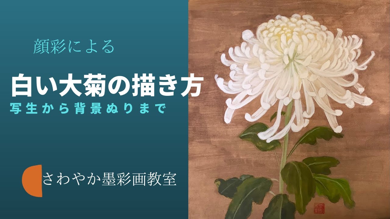 顔彩で描く花の絵シリーズ】大菊の描き方①「大菊の種類」と「スケッチ