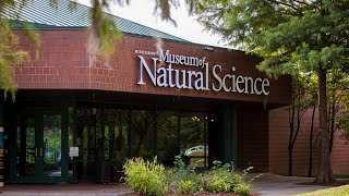 MDWFP's Museum of Natural Science