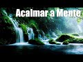 🇧🇷Música Relaxante para Acalmar a Mente e Relaxar | 🇱🇷Relaxing Music to Calm the Mind and Relax