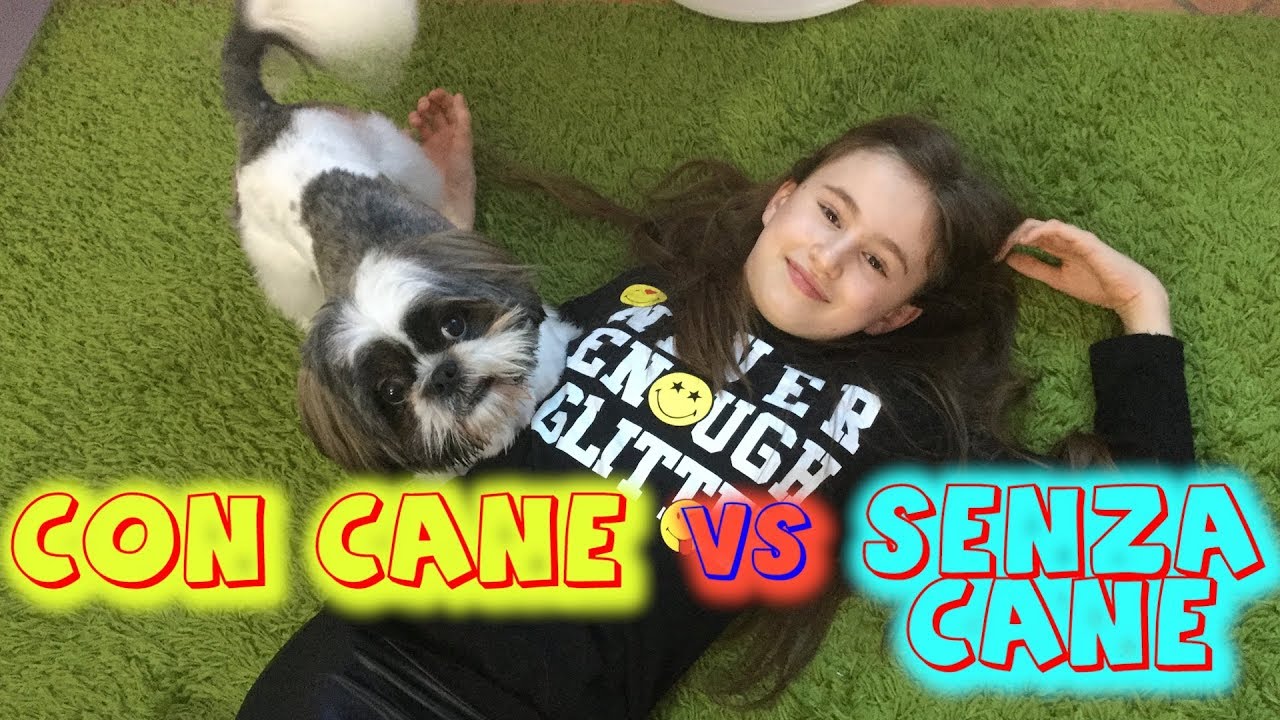 weekend con il cane weekend con il cane