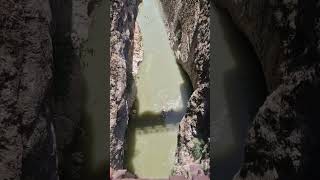 Suspended In Nature Walking The Hanging Bridge