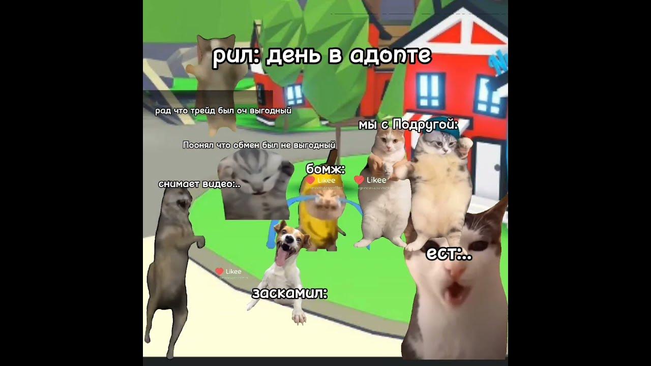 пов:день в адопте#адоптми - YouTube