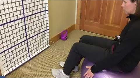 Active Lumbar Stabilization Exercise Using a Motion Guidance Laser and Physioball | Pro Physio