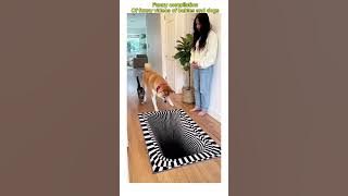 Compilation of the best funny cat and baby videos. 👶🐈😍😂 Try not to laugh