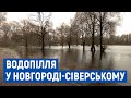 До 15 см за добу: на Новгород-Сіверщині підіймається рівень води в Десні