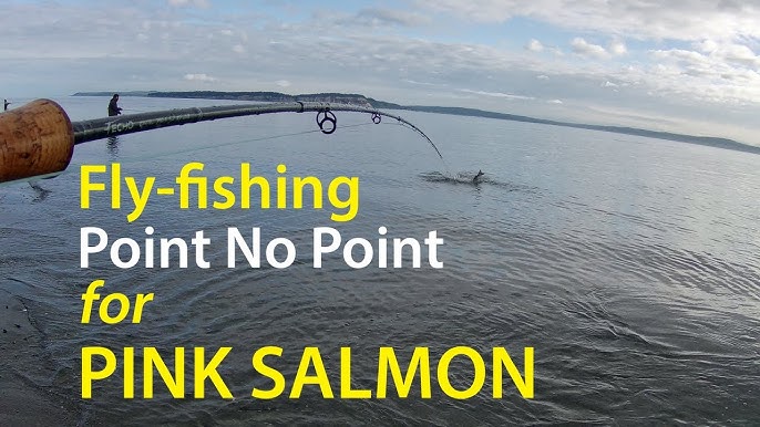 Gear Talk  Puget Sound Pink Salmon Beach Fishing 