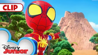 Team Spidey Saves Iguana Sanctuary! 🦎| Marvel's Spidey and his Amazing Friends | @disneyjunior​