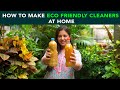 How to make eco friendly cleaners at home  anuj ramatri  an ecofreak