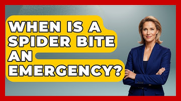 When Is A Spider Bite An Emergency? - Insects and Invaders