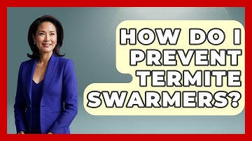 How Do I Prevent Termite Swarmers? - Insects and Invaders