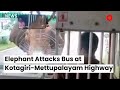 Elephant attacks bus at kotagirimettupalayam highway