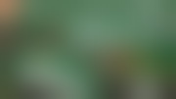 Rummy Circle BAN Nahi huaa hai?