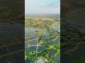 Natural Beauty of Assam 🌿 | Stunning Aerial Views by DJI Mini 4 Pro #droneshorts #shortsfeed #nature