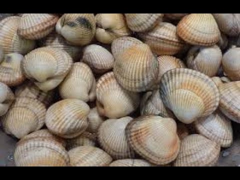 Видео: Как да готвя Vongole