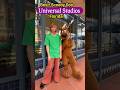 New! 2026 Scooby Doo! Shaggy! Universal Studios Florida! #shortsfeed #scoobydoo #universalstudios