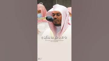 🎧 صبراً جميلاً.. فالله معك! 💔✨ | تلاوة مؤثرة للشيخ #ياسر_الدوسري من #المسجد_الحرام | #غريد_الحرم