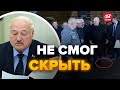 😮Сам признался! Лукашенко внезапно поплохело @nexta_tv