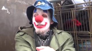 From the Ground Looking Up