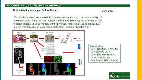 Computational Biomedical Engineering