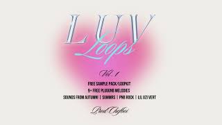 [FREE] PLUGGNB LOOPKIT 2023 "LUVLOOPS VOL.1" SAMPLE PACK + MIDI - Autumn! x KA$HDAMI x PnB Rock