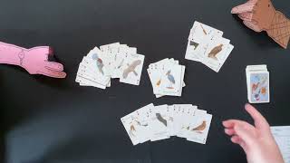 Placing Orders - How to Playthough - 3p Standard deck climbing shedding game 