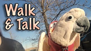 Max Talking, Walking and Making Fun Sounds (Subtitles)