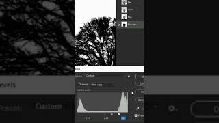Remove Trees Background in Photoshop
