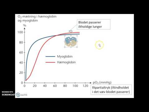 Video: Forskellen Mellem Iltet Og Deoxygeneret Hæmoglobin