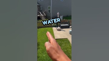 New Rachio Smart Hose Timer Saves You Money And Time #shorts