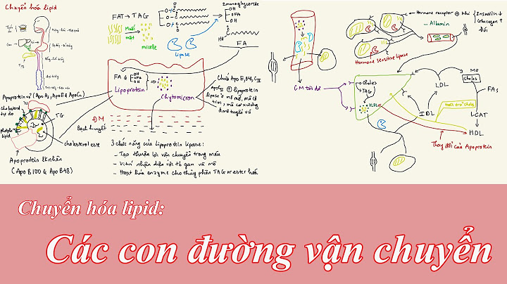 Axit hấp thụ vào cơ thể người hóa