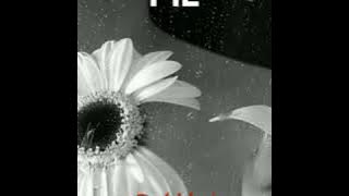 Dj Ensō - Say You Love Me - Kidi ft Cina Soul - Kizomba Remix