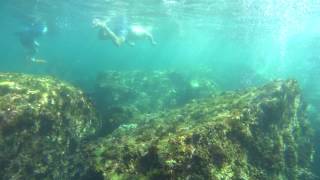 20170723和美國小浮潛08