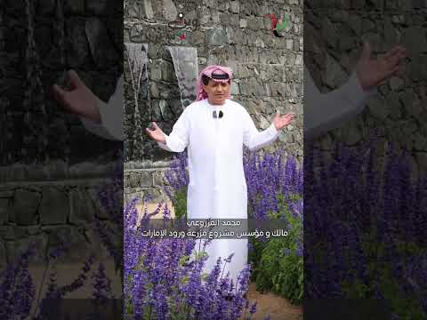مزرعة ورود الإمارات برنامج وين سايرين
