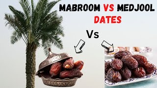🌴Mabroom Dates Vs Medjool Dates Comparison ~ The Fact of Mabroom and Medjool Dates Preferring to Eat screenshot 4