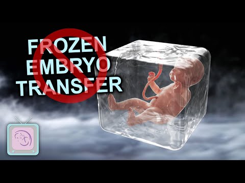 IVF Frozen Embryo Transfer Process - When should you cancel?