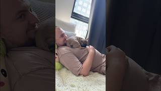 Место силы 🥹🥰 #frenchbulldog #собака #bonya #животные #puppy #cute