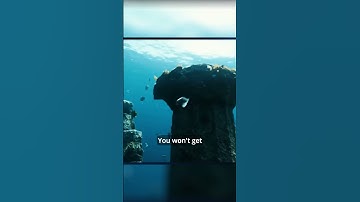 Genie 3 Can Turn Words Into Worlds, You Won’t Believe This AI   #Genie3, #TextToWorld, #AI2025