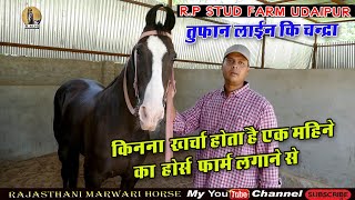 Marwari Horse video ll एक महीने मे कितना खर्च आता है होर्स फार्म मै जानीये ll  RP STUD FARM UDAIPUR