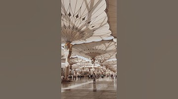 سورة العنكبوت {الآية 63} بصوت الشيخ ياسر الدوسري ❤️💖